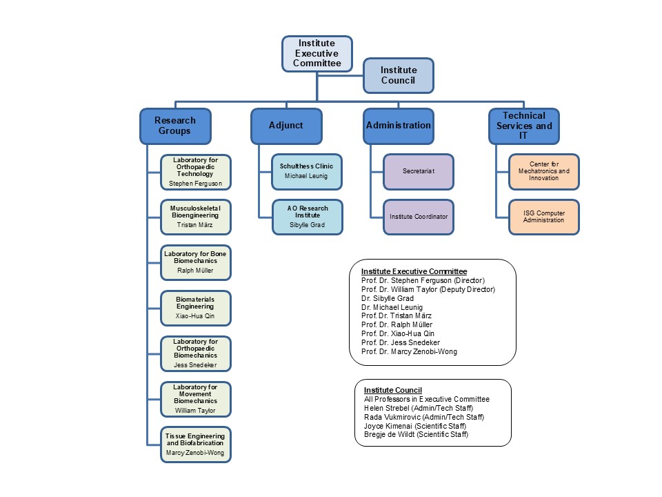 Enlarged view: IfB Organigram 2024