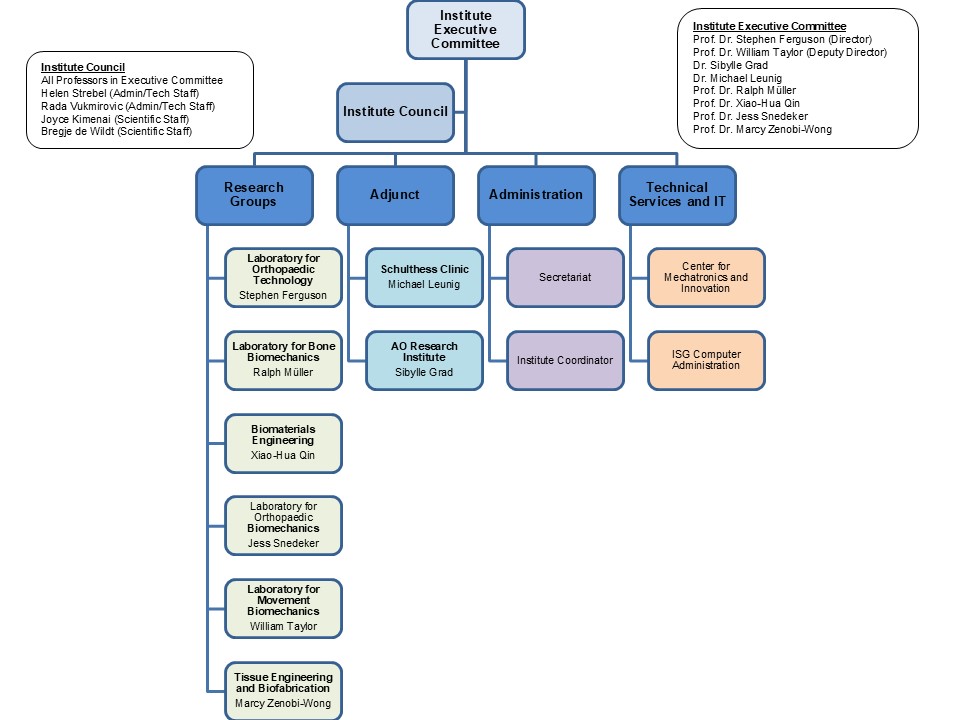 Enlarged view: IfB Organigram 2024